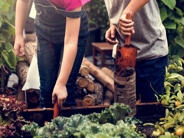 Children Planting Vegetables