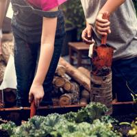 Discover the benefits of gardening kits for children, promoting responsibility, patience, and love for nature.