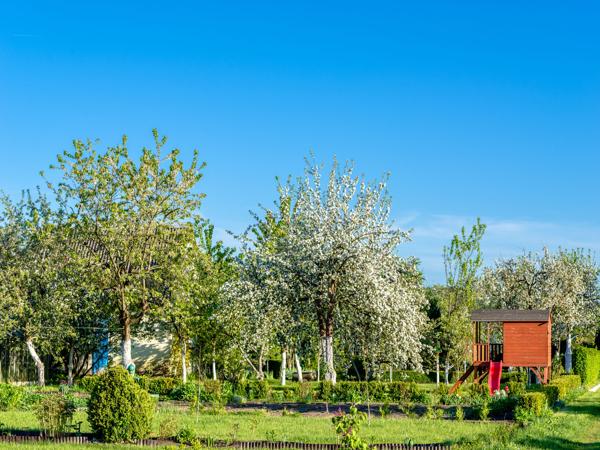 Wooden playhouse in a spring garden