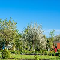 Wooden playhouse in a spring garden